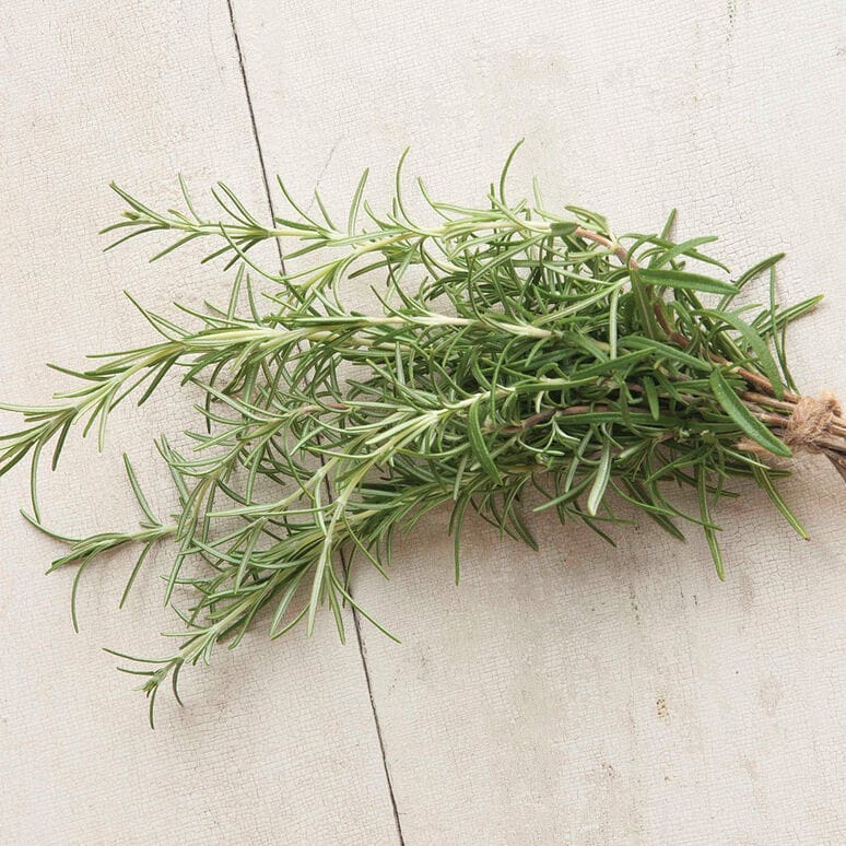 Organic Rosemary from LocoFood farms in Al Hayer, UAE. Stand by for our harvest season in late January #alwayslocal #alwaysorganic #workwithnature For more info, please whatsapp work mobile 050-2278848 للطلبات يرجى الاتصال بنا على الرقم أعلاه