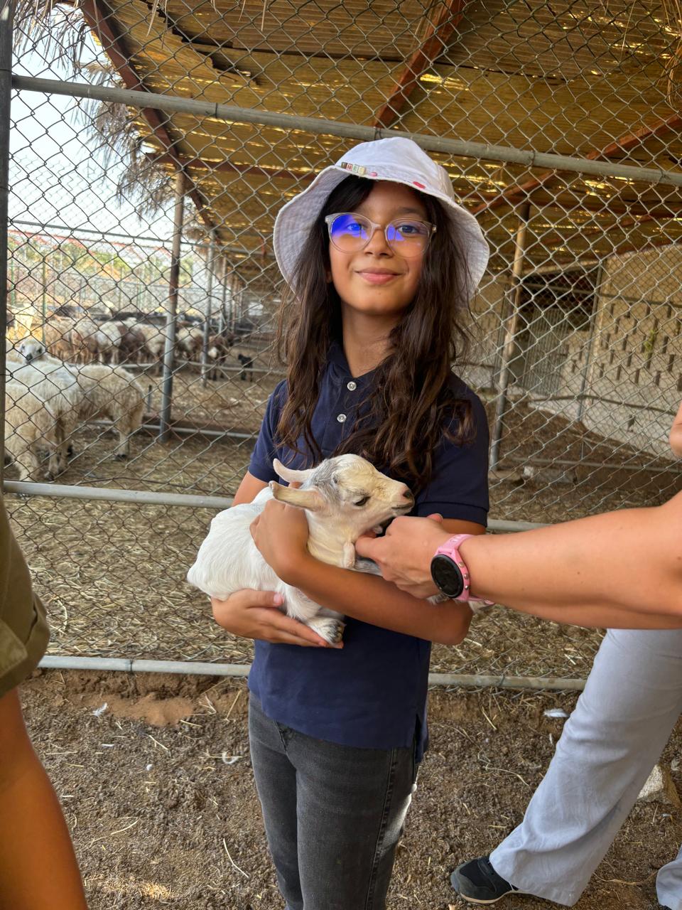 Authentic UAE Farm Visit – Harvest & Dine at LocoFood Organic Farm