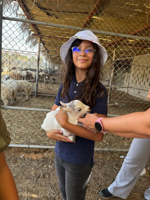 Authentic UAE Farm Visit – Harvest & Dine at LocoFood Organic Farm