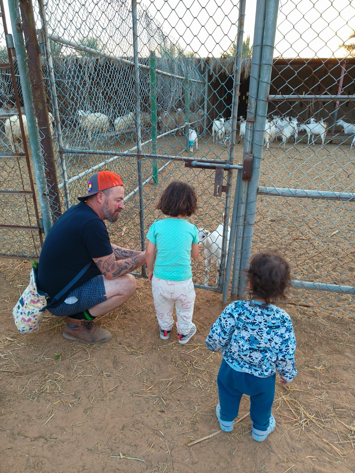 Authentic UAE Farm Visit – Harvest & Dine at LocoFood Organic Farm