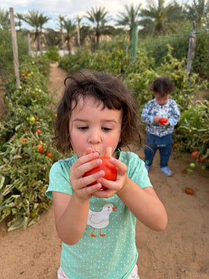 Authentic UAE Farm Visit – Harvest & Dine at LocoFood Organic Farm