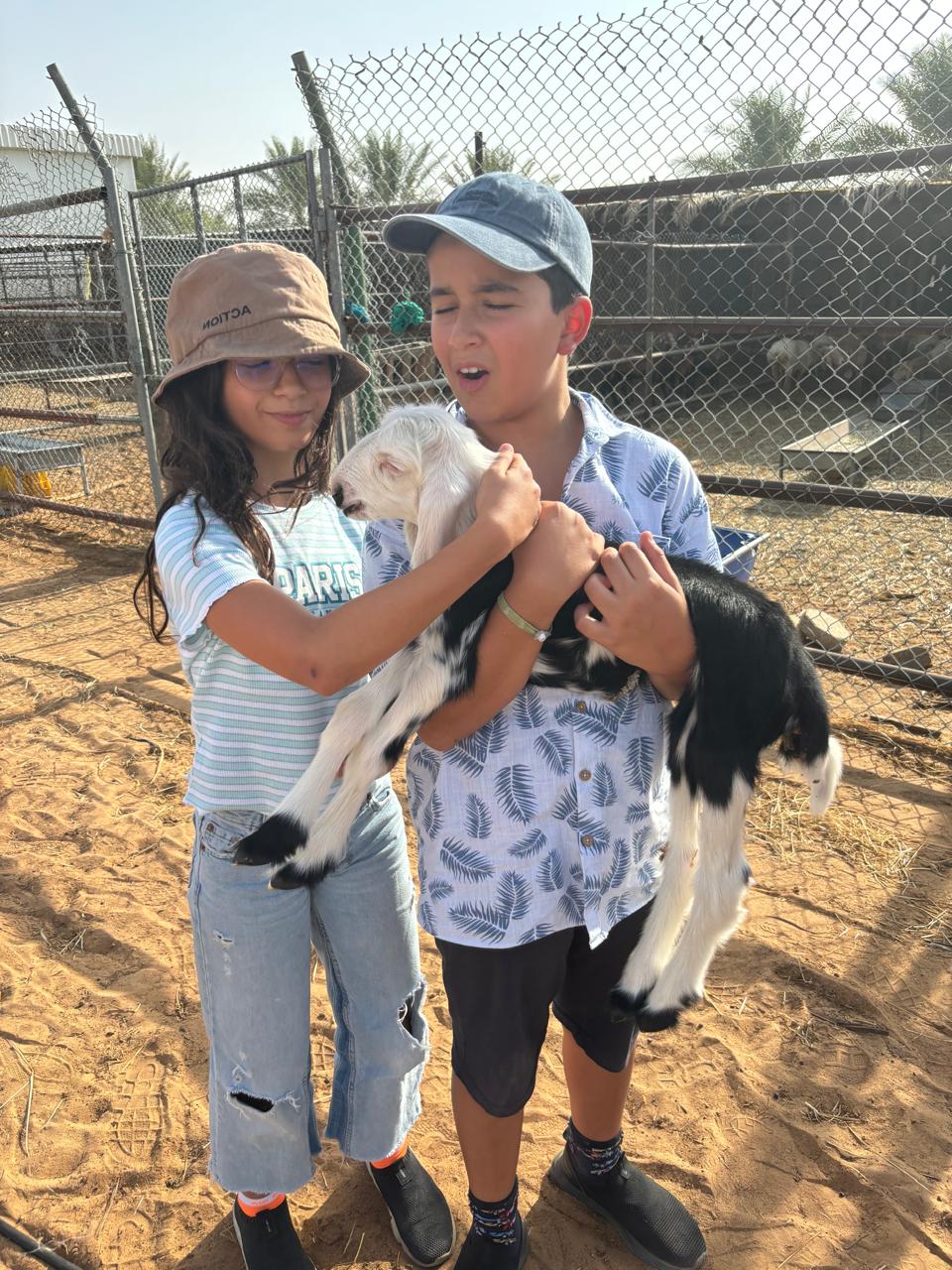 Authentic UAE Farm Visit – Harvest & Dine at LocoFood Organic Farm