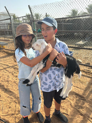Authentic UAE Farm Visit – Harvest & Dine at LocoFood Organic Farm