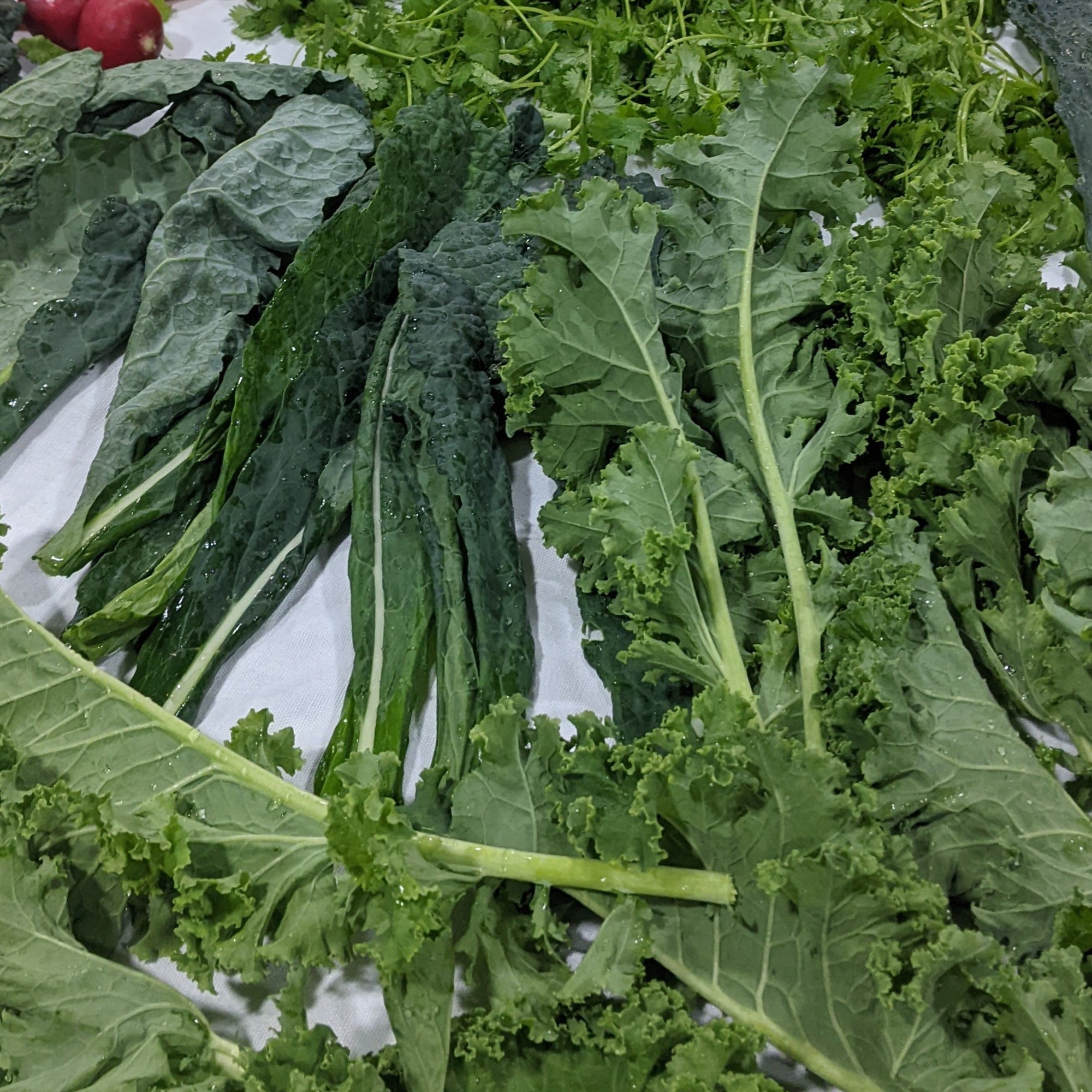 100% organic exotic salad box (4kg)