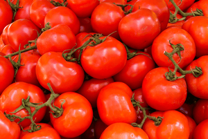 صناديق الطماطم العضوية